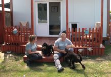 Radni przyjęli program opieki nad zwierzętami