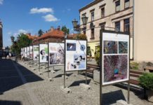 Fotograficzno – przyrodnicza wystawa plenerowa