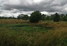 Mamy 8 ofert na wykonanie sieci kanalizacji deszczowej