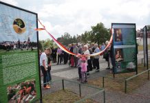 Fabryka Sztuk online – odcinek 28 – Roman Landowski