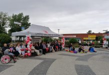 Czytanie plenerowe „Znaczy Kapitan” Karola Borchardta