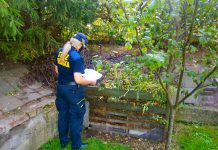 Straż Miejska kontroluje kompostowniki