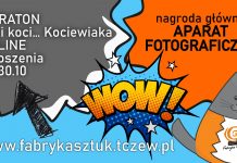 Fabryka Sztuk zaprasza do artystycznej zabawy ONLINE