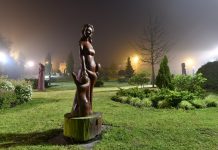 Konkurs fotograficzny o nagrodę prezydenta Tczewa rozstrzygnięty