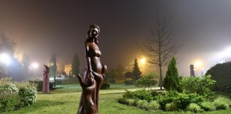 Konkurs fotograficzny o nagrodę prezydenta Tczewa rozstrzygnięty