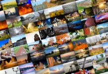 Tczew w obiektywie uczestników konkursu „Cztery pory roku w Tczewie” – edycja 2020