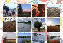 Światowy Dzień Kociewia – konkurs fotograficzny