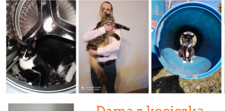 Dama z kociczką – konkurs fotograficzny ONLINE z okazji Światowego Dnia Kota