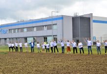 Flex Poland wysiał łąkę kwietną