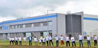 Flex Poland wysiał łąkę kwietną