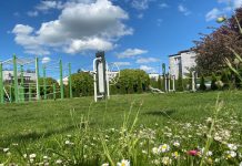 Konkurs plastyczny dla dzieci „Tczew słońcem malowany – Tczew kwieciem otulony”