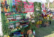 Miasto wspiera działkowców – 15 tys. zł dla ROD Malinowo