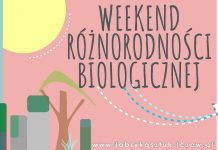 Weekend z Fabryką Sztuk