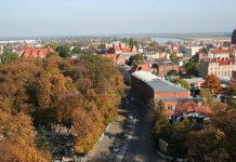 80. rocznica powołania Tajnej Organizacji Wojskowej „Gryf Pomorski”