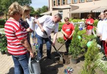 Nowe rośliny dla seniorów – Tczew kwitnie