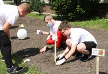 Tczew kwitnie także w szkołach