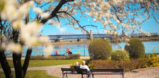 Tczew kwitnie – zobacz film promocyjny