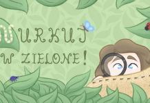 „Nurkuj w zielone!” – projekt z warsztatami dla dzieci