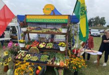 Mieszkańcy Tczewa bawili się na dożynkach