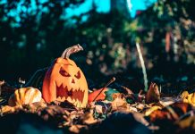 Kultura w sąsiedztwie – kreatywne warsztaty na Suchostrzygach