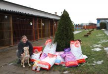 Zadbajmy o naszych czworonogów – Tczew nie strzela w sylwestra
