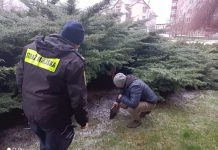 Zima – najtrudniejszy okres dla bezdomnych