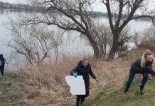 Ukraińcy pomogli w sprzątaniu miasta – subotnik w Tczewie