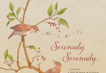 Koncert „Serenady, serenady…” – 7 maja w tczewskiej Farze