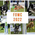 FOWC_2022