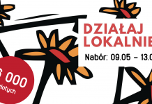 Działaj Lokalnie 2022 – nabór wniosków do 13 czerwca