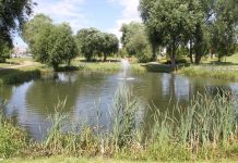 Tczew otrzyma 2 mln zł na rewitalizację parku na Piotrowie