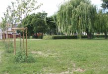 Skwer przy ul. Topolowej – mamy wykonawcę