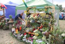 Działkowe święto plonów w Tczewie