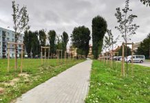 Tczewski skwer imieniem Romana Dmowskiego