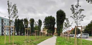 Tczewski skwer imieniem Romana Dmowskiego