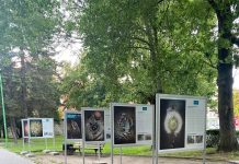 Plastikowa Odyseja – wystawa plenerowa w Tczewie