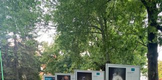 Plastikowa Odyseja – wystawa plenerowa w Tczewie