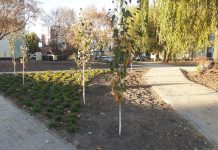 Nowy skwer na Suchostrzygach