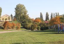 Wybieg dla psów na Kanonce