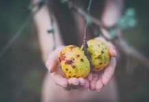 Wystawa fotograficzna Katarzyny Gapskiej