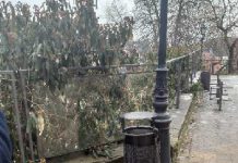 Sprawcy zniszczenia mienia zatrzymani