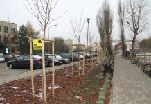 Skwer Dmowskiego już gotowy