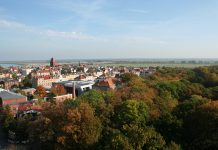 Dokumentacja budowlano-wykonawcza na rewitalizację Parku Miejskiego – przetarg