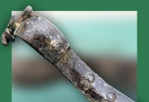 Europejskie Dni Archeologii