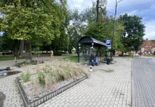 Zielone przystanki autobusowe – dołącz do projektu