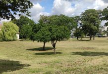 Park Piotrowo- 1,7 ha na wypoczynek i rekreację