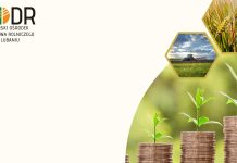 31 sierpnia upływa termin przystąpienia do programu płatności bezpośrednich na lata 2023-2027