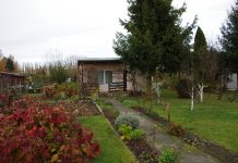 Usuwanie azbestu – zakończyliśmy edycję 2023