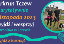 Parkrun Tczew charytatywnie dla tczewskiego schroniska – 4 listopada