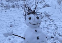 Ogłoszenie o zimowisku dla dzieci